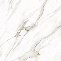 Керамогранит Ayton Brown polished полир, 60x60 9 мм, арт. PR128