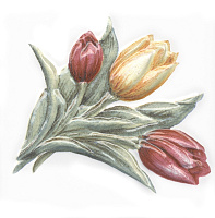 Оранжерея Тюльпаны TFA013. Декор (9,9x9,9)
