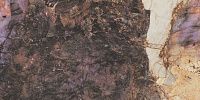 Керамогранит MAGALLANES PINK POL RECT полир 60x120 10 мм арт. A045261