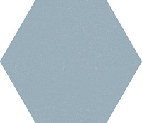 F920 Paprica Blue Esa. Универсальная плитка (21,6x25)