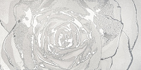 Декор Dec Omnia white silver лап, 60x120