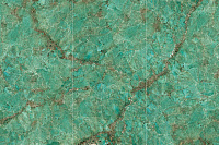 MN688CP321606 Amazon Green Polished. Универсальная плитка (160x320)