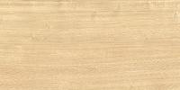 Плитка Triangle Wood глянц, 24,9x50 7,5 мм, арт. WT9TRI08