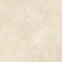 Керамогранит Boost Expression Shell структур 120x120 20 мм арт. AYRU