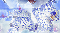 Панно Dec Vanda Panno A глянц, 25x45, арт. КПН16VandaA