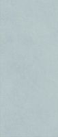 Керамогранит Boost Expression Cyan мат 50x120 8,5 мм арт. AYR8
