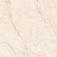 ELECTRA BEIGE POLISHED. Универсальная плитка (60x60)