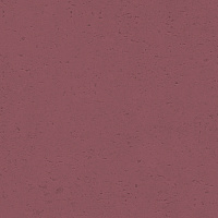 Gres P Goldstone Burgundy. Универсальная плитка (60x60)