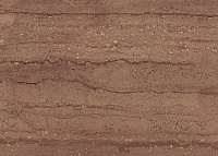 Tuti коричневая (TGM111D). Настенная плитка (25x35)