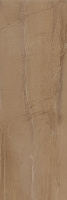 Terra Brown. Настенная плитка (25x75)