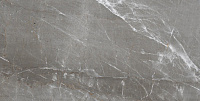 Patara Grigio I Серый Полированный. Универсальная плитка (60x120)