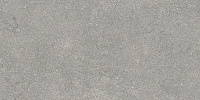 Newcon Серебристо-серый K945752R0001VTE0. Универсальная плитка (30x60)