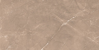 Vitrum Choco бежевый глянцевый. Универсальная плитка (60x120)