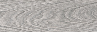 Omodeo серый 6264-0092. Универсальная плитка (19,9x60,3)