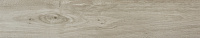 Керамогранит Rigel Grey мат, 23x120, арт. 110-010-1