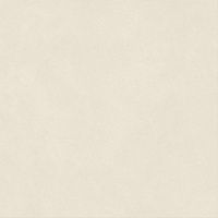 Керамогранит Boost Natural Pro Salt мат 120x120 9 мм арт. AQ8U