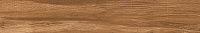 Swiss Cherry Blend бежевый матовый. Универсальная плитка (19,5x120)
