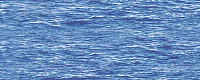 Панно Dec Lago A глянц, 20x50, арт. КПН17LagoA