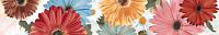 Бордюр Sunshine Multicolor глянц, 8x50