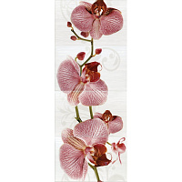 FIORI Орхидея (4 шт.) 377087. Панно (100x40)