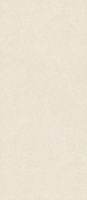 Керамогранит Boost Natural Pro Salt мат 120x278 6 мм арт. AQ9E