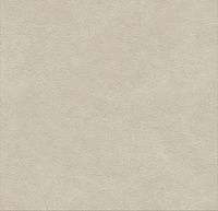 Керамогранит Boost Natural Pro Cinder структур 120x120 20 мм арт. ARB4