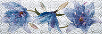 Декор Dec. Lilium Cool глянц, 25x75, арт. 117403