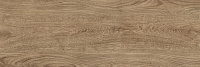Шиен 4 коричневый. Настенная плитка (25x75)