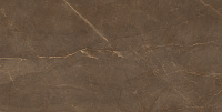 Armani Gold коричневый глянцевый. Универсальная плитка (60x120)