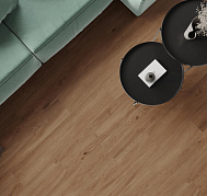 Canarium Brown