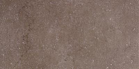 Керамогранит Дайсен Коричневый мат, 30x60 9 мм, арт. (SG211400R)