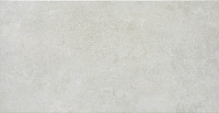 Gard Grafito. Настенная плитка (31x60)