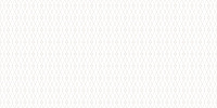 Плитка Eleganza White глянц, 24,9x50 7,5 мм, арт. WT9ELZ00
