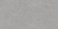 DL500820R Фондамента серый светлый обрезной. Универсальная плитка (60x119,5)