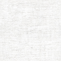 Wood White FT3WOD00. Напольная плитка (41,8x41,8)