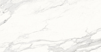 Calacatta Superb белый полированный. Универсальная плитка (60x120)