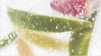 Декор Dec Mojito 2 глянц, 25x45, арт. b02365