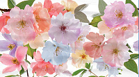 Панно Dec Clematis Panno A КПН16ClematisA глянц, 25x45, арт. КПН16ClematisA