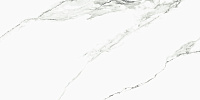 DENARIUS мат. Универсальная плитка (60x120)