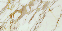 Calacatta Gold Pol Rect. Универсальная плитка (60x120)