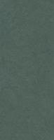 Керамогранит Конкрит зеленый обрезной мат 119,5x320 11 мм арт. DD070400R