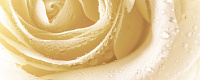 Декор Syntia Rose 3 глянц, 20x50