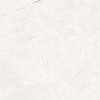 Керамогранит NL00  мат 60x60 10 мм арт. 70269