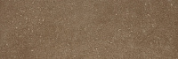 SC.BX.NS.NT NOISETTE. Универсальная плитка (100x300) 3,5 мм