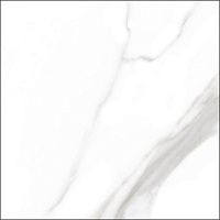 Керамогранит Triumph GT Белый мат 60x60 9,5 мм арт. GT60600403MR