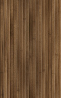 Бамбук коричневый. Настенная плитка (25x40)
