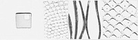 Каррара Бордюр серый водоросли (20x5,7)
