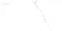 Плитка Rev PALMIRA BLANCO глянц, 30x60