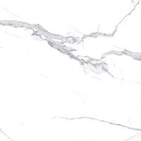 Керамогранит Calacatta Splendid Silver белый мат 60x60 8 мм