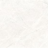 Керамогранит Connect Pearl светло-серый мат 59,5x59,5 9 мм арт. SG624920R